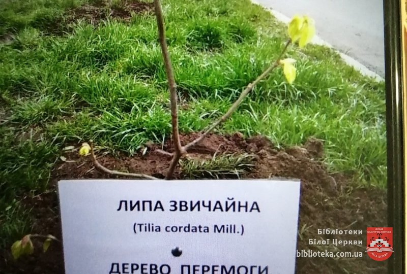 Природа – це життя