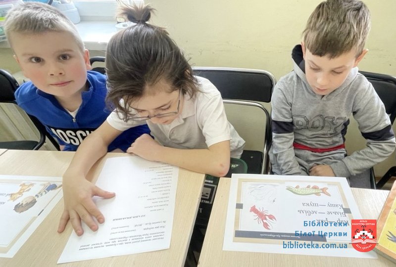 Країна чарівних слів